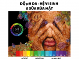 MỐI QUAN HỆ GIỮA SỮA RỬA MẶT – ĐỘ pH VÀ HỆ VI SINH TRÊN DA MẶT